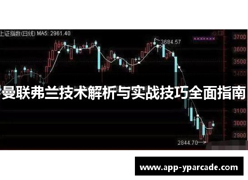 曼联弗兰技术解析与实战技巧全面指南