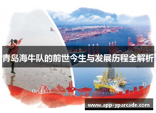 青岛海牛队的前世今生与发展历程全解析