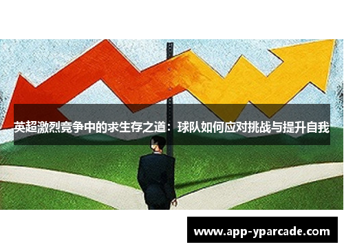 英超激烈竞争中的求生存之道：球队如何应对挑战与提升自我