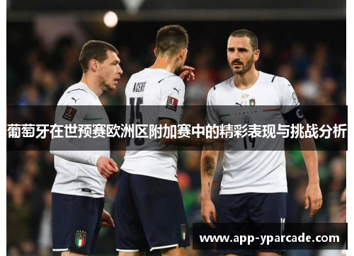葡萄牙在世预赛欧洲区附加赛中的精彩表现与挑战分析 葡萄牙在世预赛欧洲区附加赛中的精彩表现与挑战分析