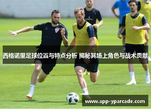 西格诺里足球位置与特点分析 揭秘其场上角色与战术贡献 西格诺里足球位置与特点分析 揭秘其场上角色与战术贡献