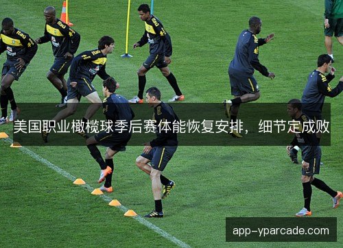 美国职业橄榄球季后赛体能恢复安排，细节定成败